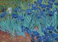 Van Gogh museum 